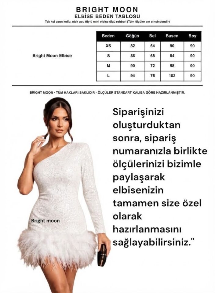 Kadın Payet İşlemeli Tek Kol Otriş Etekli Şık Parti Elbisesi