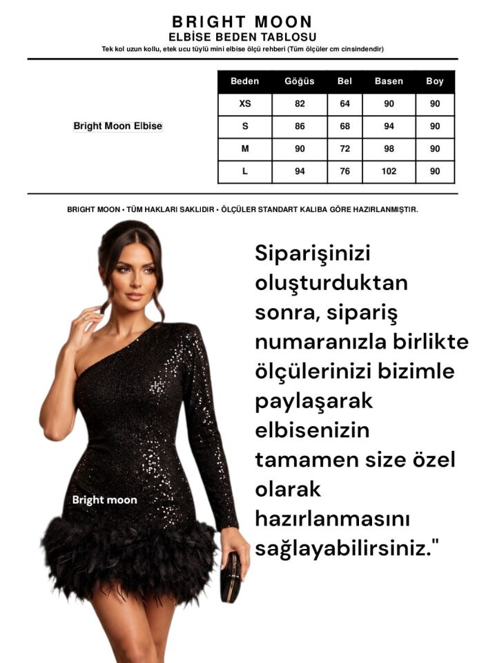 Kadın Payet İşlemeli Tek Kol Otriş Etekli Şık Parti Elbisesi
